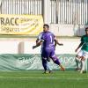 SCTORREVIEJATHADERROJALES(sinmarca)-21